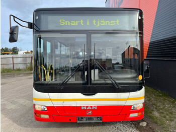 Xe bus đô thị MAN Lion´s City L A26 Euro 5 // 4x units: hình 3