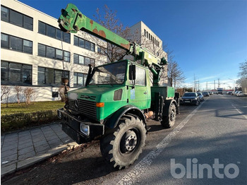 Xe cẩu tự hành UNIMOG