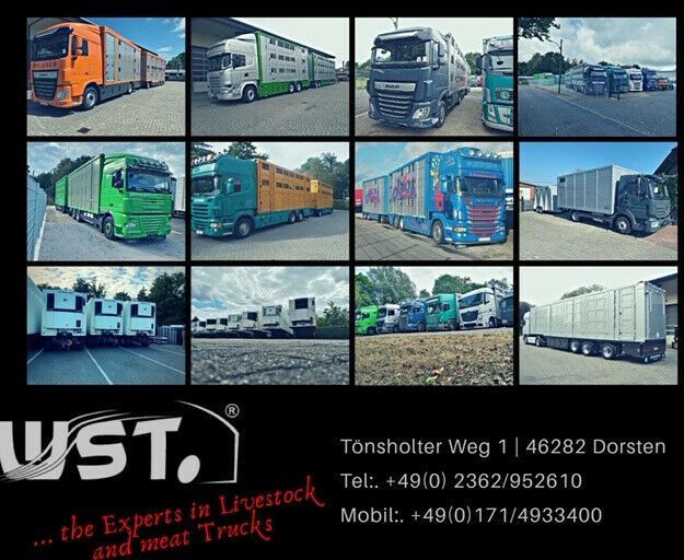 Sơ mi rơ moóc đông lạnh Schmitz Cargobull SKO 24 Kühlauflieger Vector 1550 Strom/Diesel: hình 20