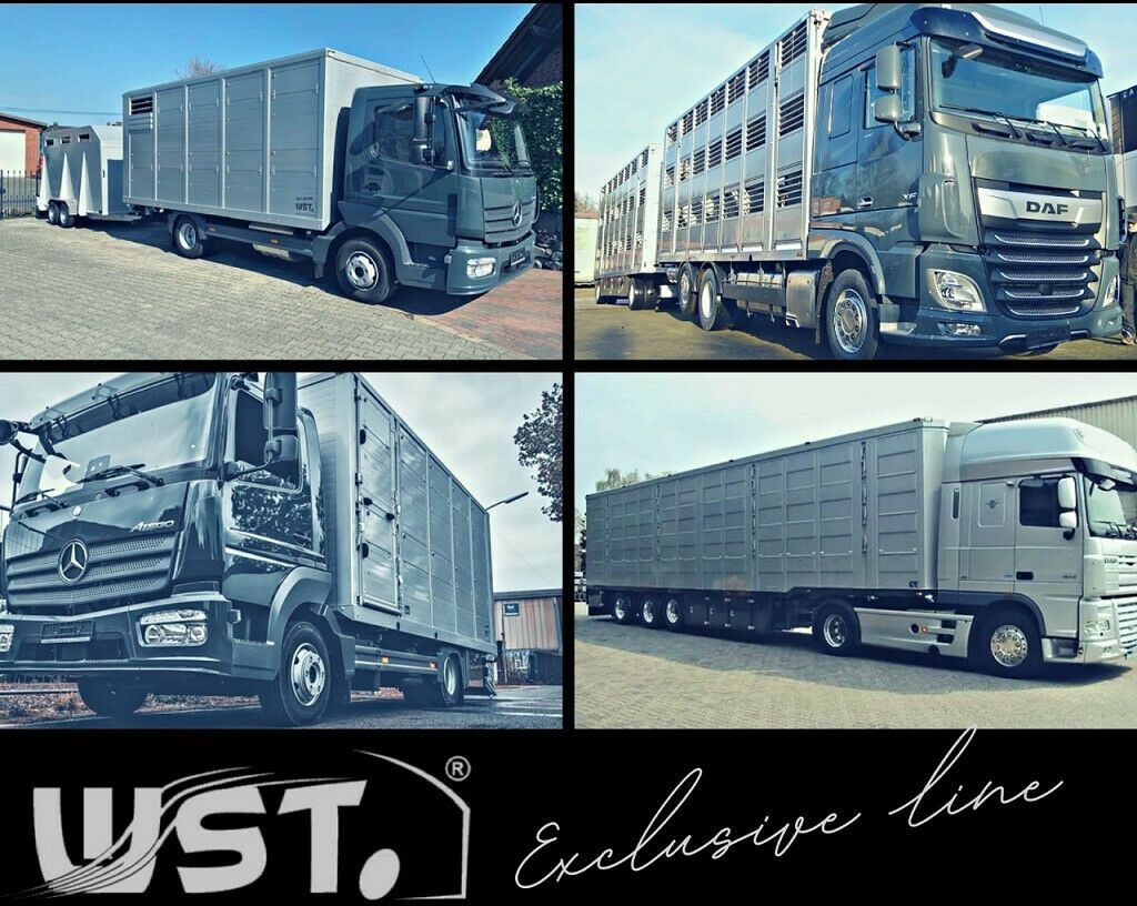 Sơ mi rơ moóc đông lạnh Schmitz Cargobull SKO 24 Kühlauflieger Vector 1550 Strom/Diesel: hình 19